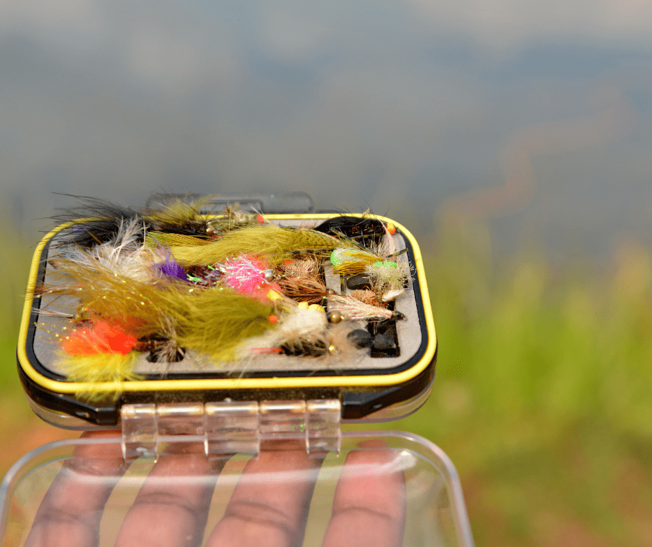 Fly Fishing