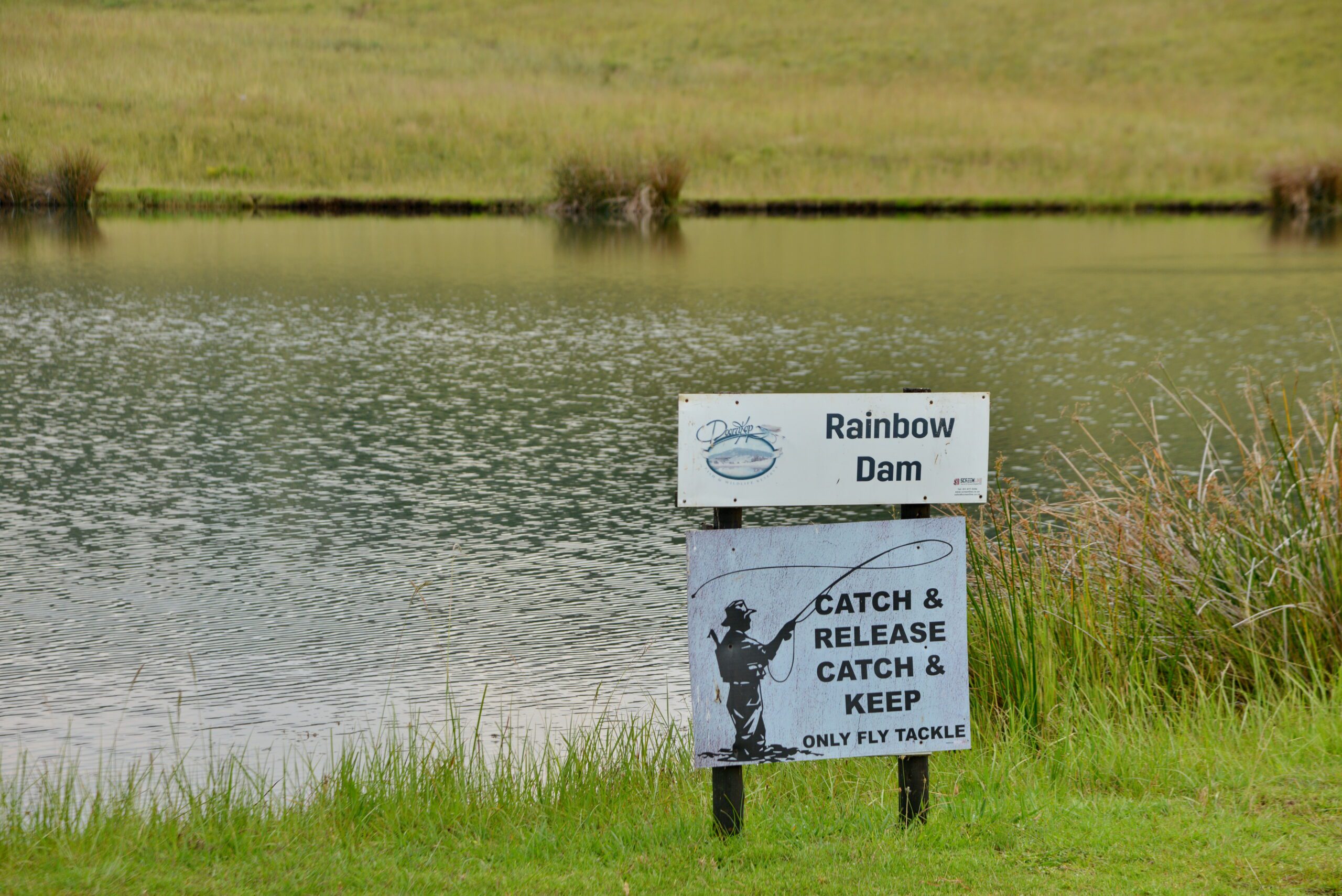 Doornkop Fish and Wildlife Reserve (17)