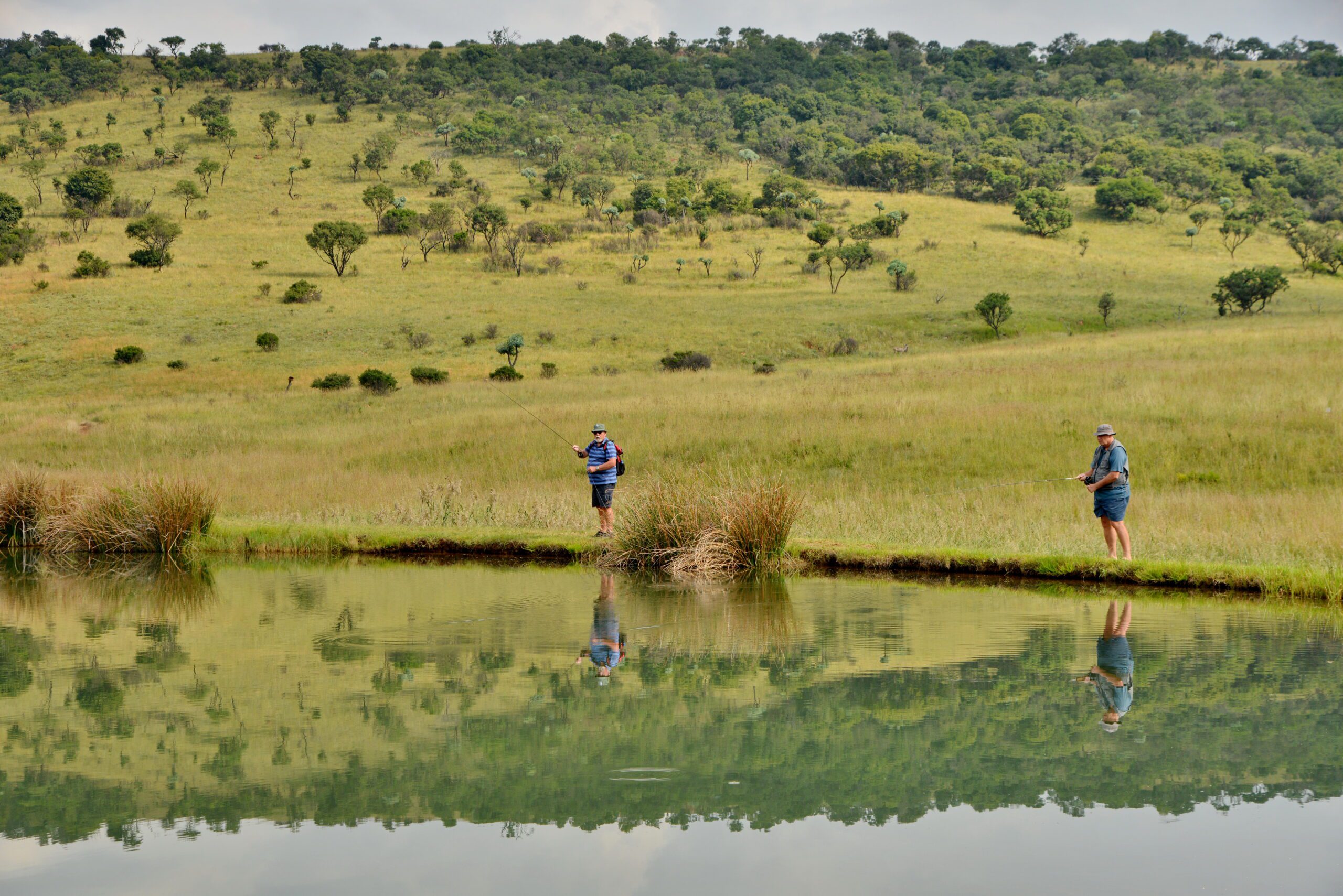 Doornkop Fish and Wildlife Reserve (30)