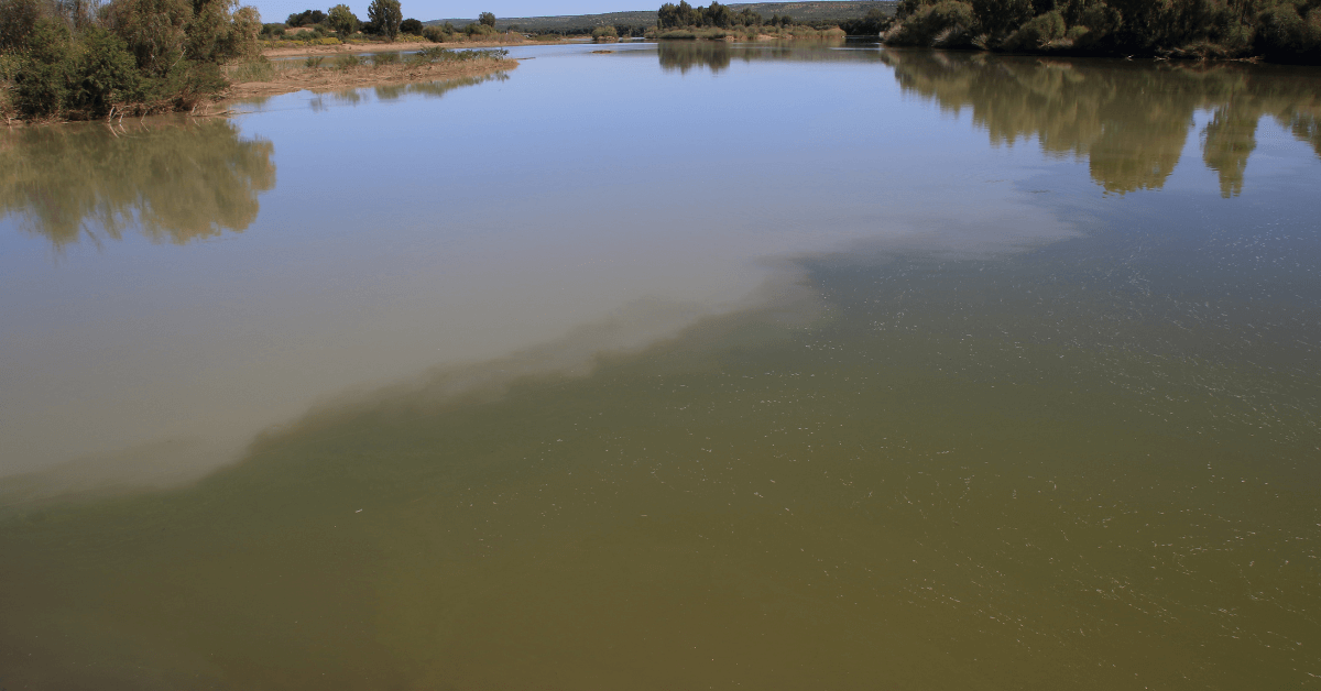 The confluence of the Vaal and Orange Rivers